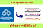 IOB Apprentice 2025
